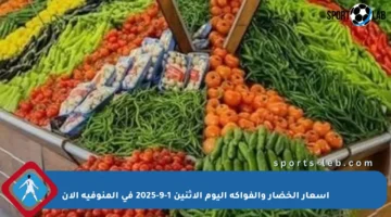 أسعار الخضار والفواكه اليوم الإثنين 1-9-2025 في المنوفية الآن